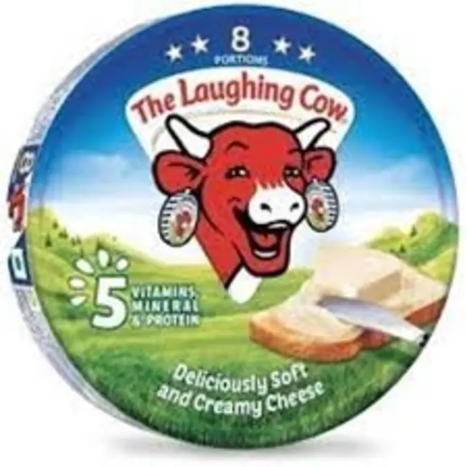 The Laughing Cow 16 Portions 224G